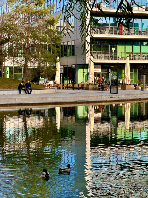 fall season in vienna. austria